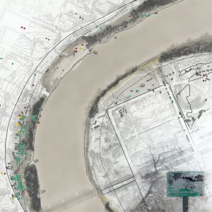 Riparian analysis of the Alexander Docks. Depicts vulnerability of tree species, naturalization areas, and flood dynamics