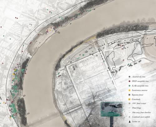 Riparian analysis of the Alexander Docks. Depicts vulnerability of tree species, naturalization areas, and flood dynamics