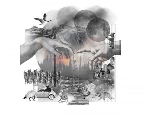 Collide: A collage that expresses the complex engagement between man and nature as an aid to visualize the personal interpretation of the project brief