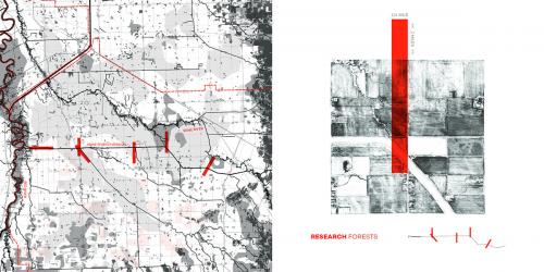 Seine River Diversion, research forests