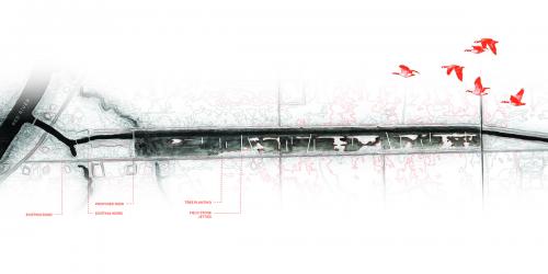 Schematic site plan