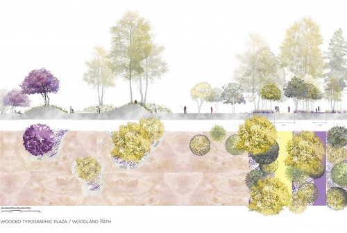 Section plan of the wooded topographic plaza and woodland path