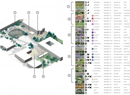 Isometric and Planting Plan