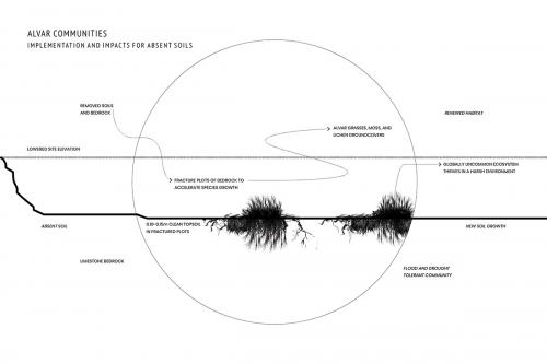 Timeline diagram showing alvar community implementation strategies and impacts (information from Neufeld, Friesen, and Hamel, 2012) used to address absent soil scenarios