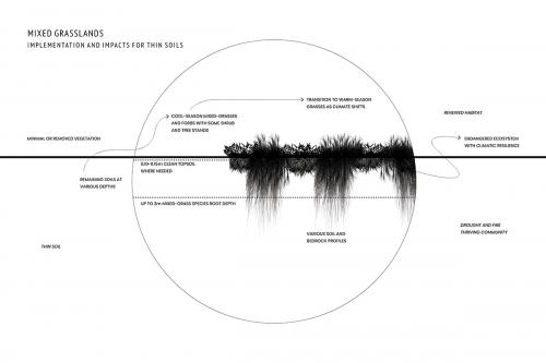 Timeline diagram showing grassland implementation strategies and impacts (information from Savage, 2011) used to address thin soil scenarios