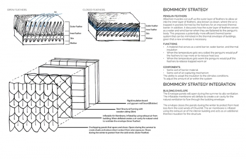 Biomimetic Strategy