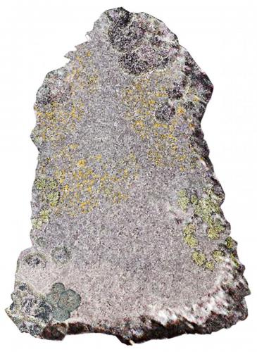 Visualizing the relationship between Lichen, substrate material and time