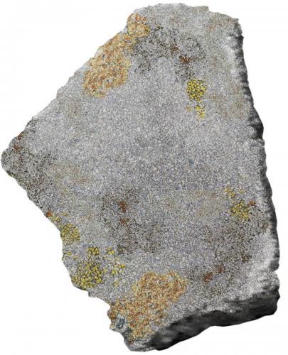 Visualizing the relationship between Lichen, substrate material and time