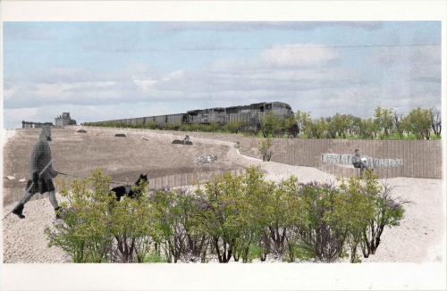 Summer perspective of walking path, viewed from shrub garden