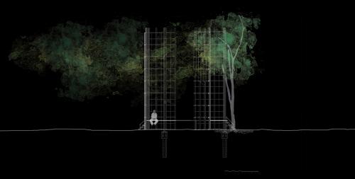 Set of drawings(2/3) depicts the relationship between the architecture itself and the existing trees