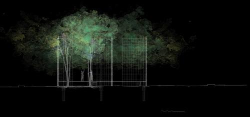 Set of drawings(3/3) depicts the relationship between the architecture itself and the existing trees